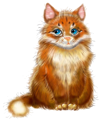 a handsome ginger kitty